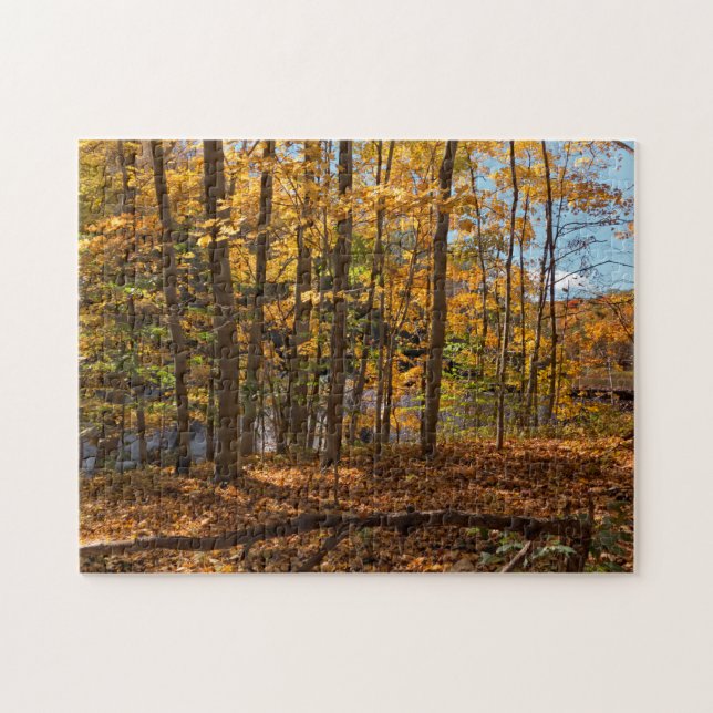 Puzzle Autumn Forest (Horizontal)