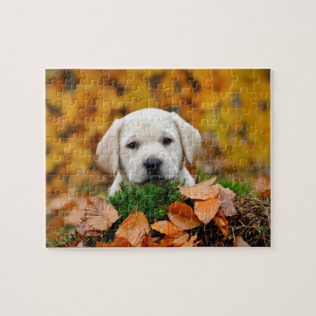 Puzzle Autumn Labrador (Horizontal)