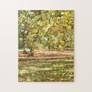 Puzzle Autumn Leaves and Trees Regent's Park Londres Rein