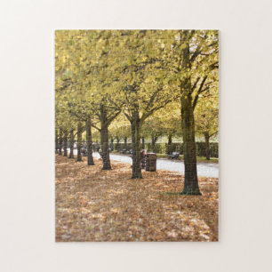 Puzzle Autumn Leaves and Trees Regent's Park Londres Rein