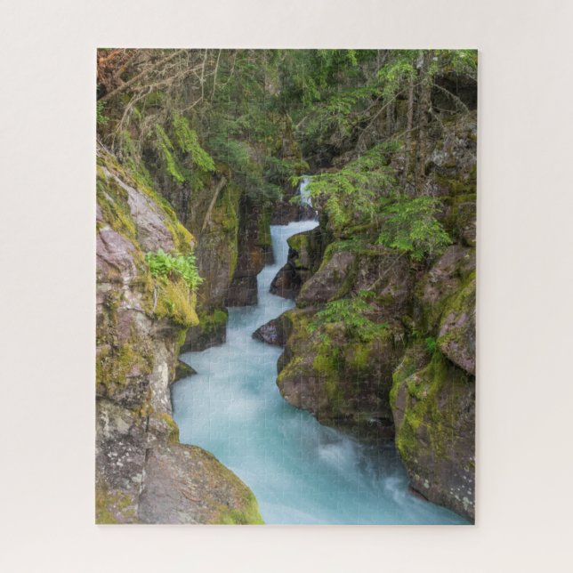 Puzzle Avalanche Creek, Parque Nacional Glacier, Montana (Vertical)