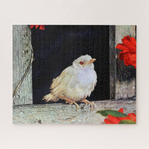 Puzzle Ave albino robin RARE