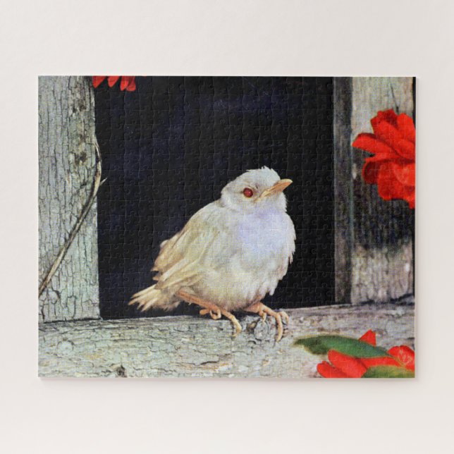 Puzzle Ave albino robin RARE (Horizontal)