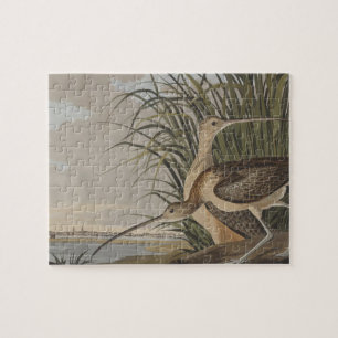 Puzzle Ave Audubon