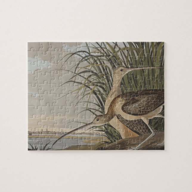 Puzzle Ave Audubon (Horizontal)