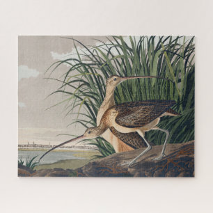 Puzzle Ave Audubon