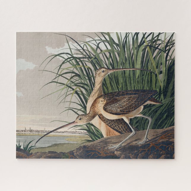 Puzzle Ave Audubon (Horizontal)