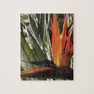 Puzzle Ave del Paraíso Strelitzia Reginae Acrílico Painti
