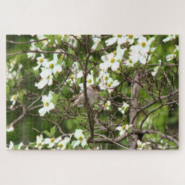 Puzzle Ave en un árbol de dogwood