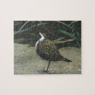 Puzzle Ave Hawk