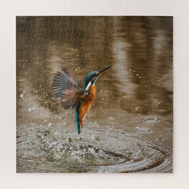 Puzzle Ave Kingfisher saliendo de la foto del agua (Vertical)