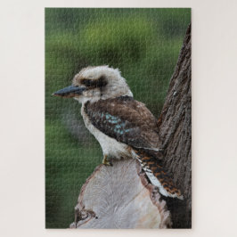 Puzzle Ave riéndose Kookaburra en un árbol, 1014 piezas