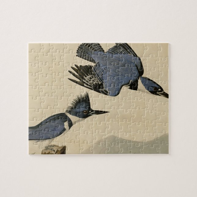 Puzzle Ave salvaje Audubon Belt Kingfisher (Horizontal)