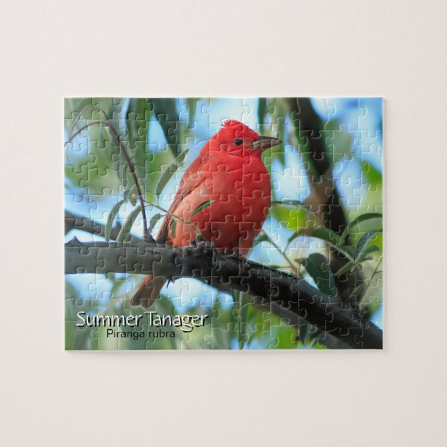 Puzzle Ave Tanager de verano (Horizontal)