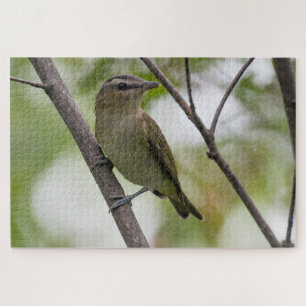 Puzzle Ave verde, Vireo teñido de rojo, fotografía canadi