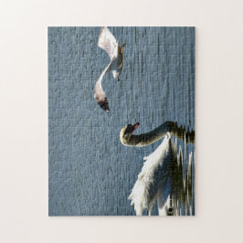 Puzzle Ave y cisne