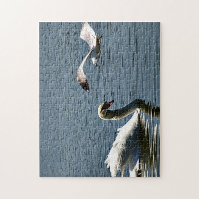 Puzzle Ave y cisne (Vertical)