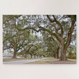 Puzzle Avenida de los Oaks, Carolina del Sur