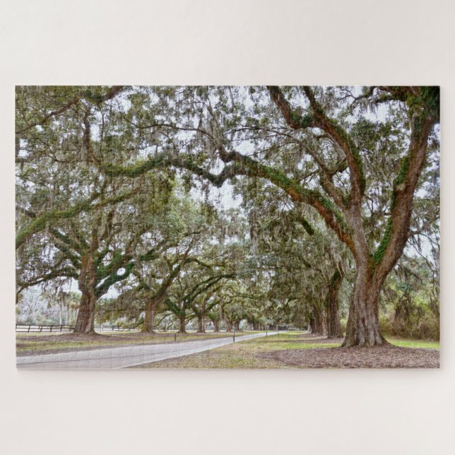 Puzzle Avenida de los Oaks, Carolina del Sur (Horizontal)