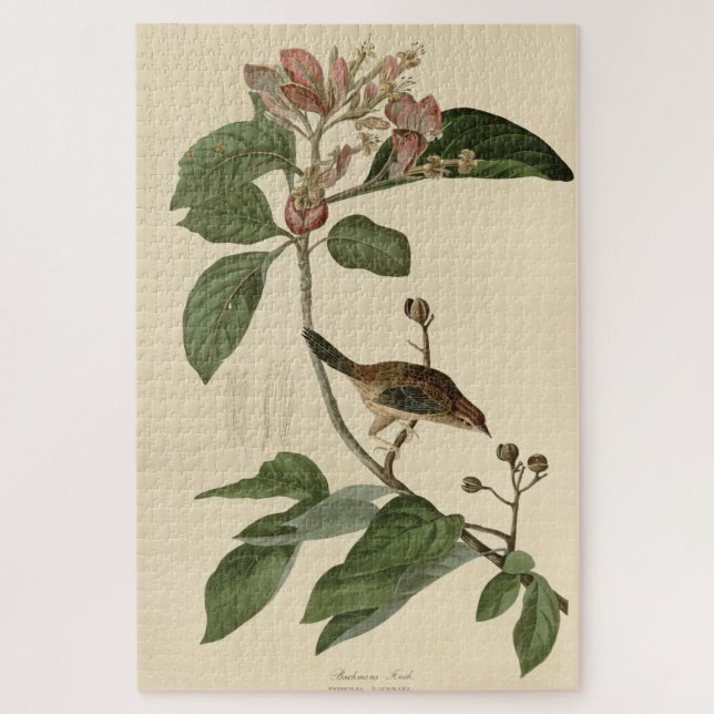 Puzzle Aves Audubon de América de la Finca de Bachman (Vertical)