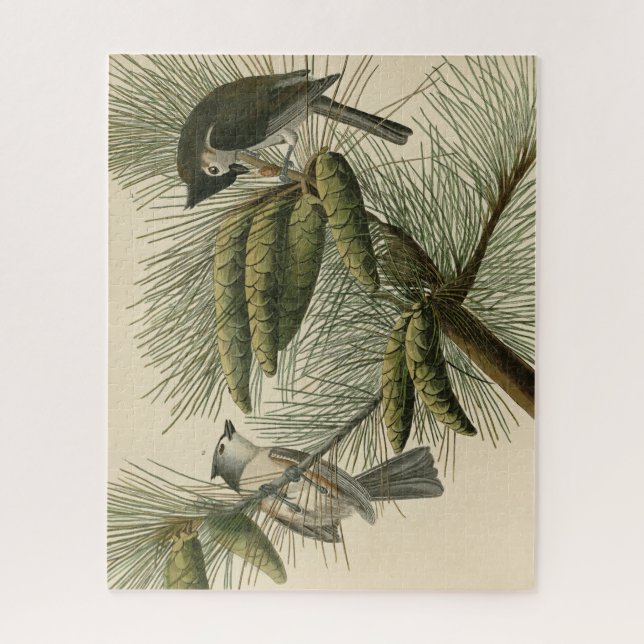 Puzzle Aves Audubon de Titmouse (Tufted) de América (Vertical)