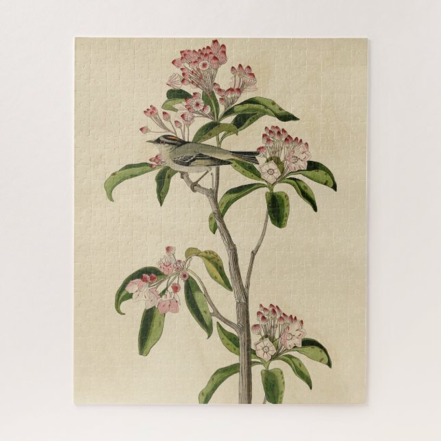 Puzzle Aves Audubon del Kinglet de Cuvier (Vertical)