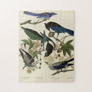 Puzzle Aves Audubónicas de Magpie y Nutcracker de América