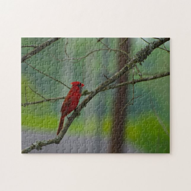 Puzzle Aves Cardenales. (Horizontal)