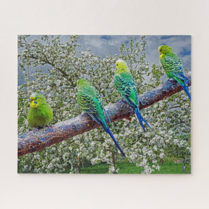 Puzzle Aves - cochecitos