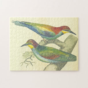 Puzzle Aves con aspecto vintage encaramadas en ramas de á