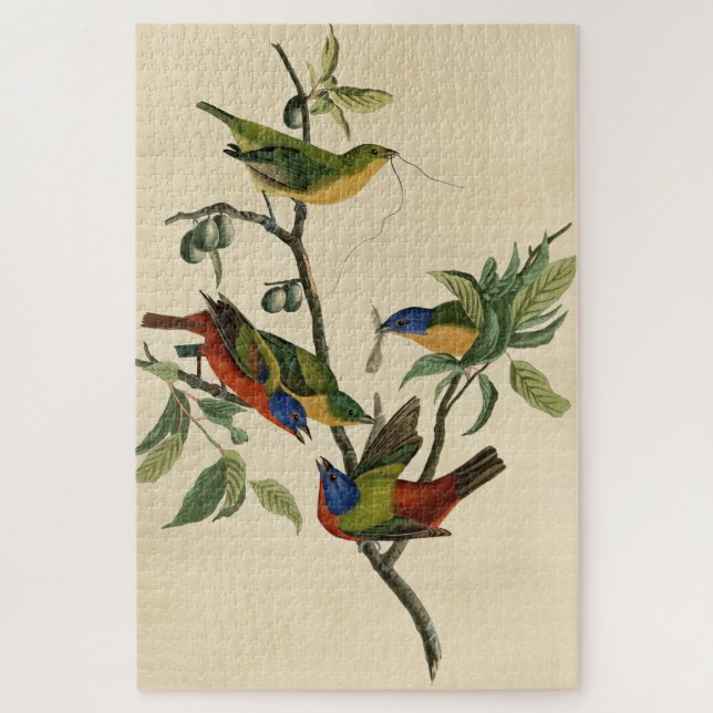 Puzzle Aves de América de Finch (Bunting) pintadas (Vertical)