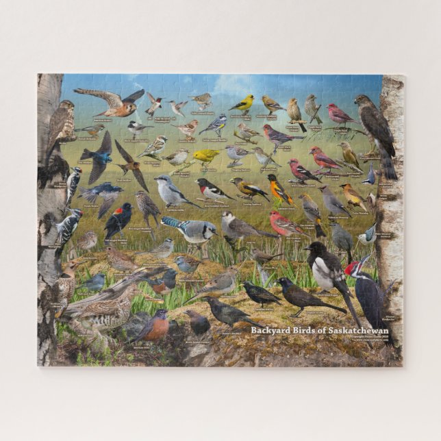 Puzzle Aves de corral de Saskatchewan (Horizontal)