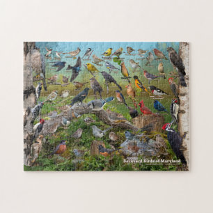 Puzzle Aves de corral del interior de Groenlandia