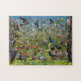 Puzzle Aves de corral del oeste