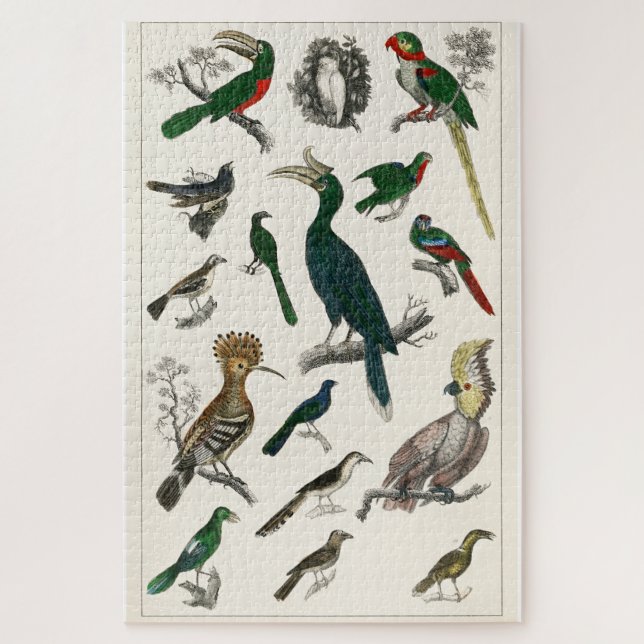 Puzzle Aves de época Animales de arte de Ilustracion anti (Vertical)