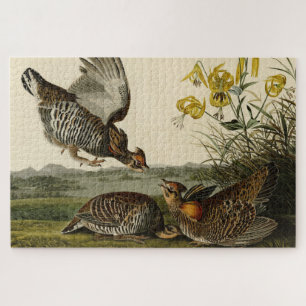 Puzzle Aves de Estados Unidos de Audubon, un grupo aislad