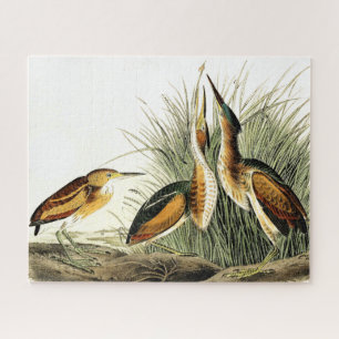 Puzzle Aves de garza al menos rompe el enigma de animales
