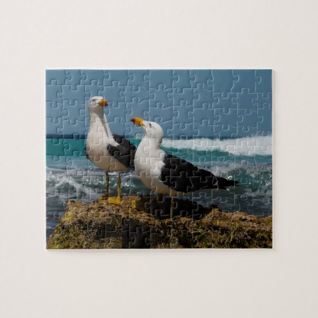 Puzzle Aves de gaviota del Pacífico Australia Océano, 110 (Horizontal)