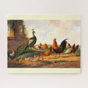 Puzzle Aves de granja arte