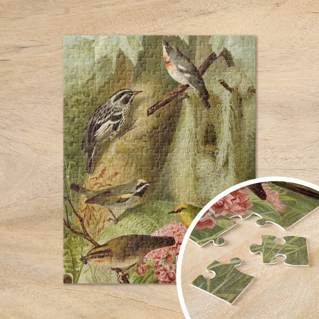 Puzzle Aves de Norteamérica | Gustav Mü tzel (Subido por el creador)