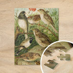 Puzzle Aves de Norteamérica | Gustav Mü tzel<br><div class="desc">Ilustracion del artista alemán Gustav Mü tzel del libro Die Nordamerikanische Vogelwelt (El mundo de las aves norteamericanas) de 1891. El libro describe cada una de las Aves Norteamericanas que Heinrich Nehrling se había encontrado o leído. El profesor Robert Ridgway de la Smithsonian Institution and National Museum de Washington, el...</div>