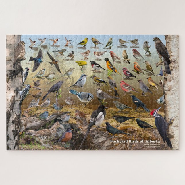 Puzzle Aves de patio de Alberta (Horizontal)