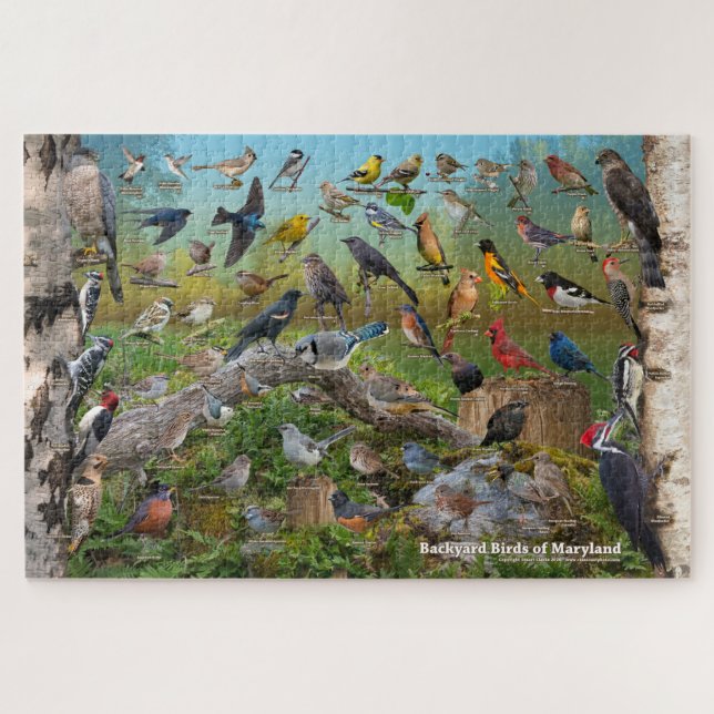 Puzzle Aves de patio de Maryland (Horizontal)