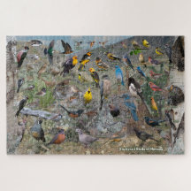 Aves de patio de Nevada