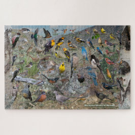 Puzzle Aves de patio de Nevada