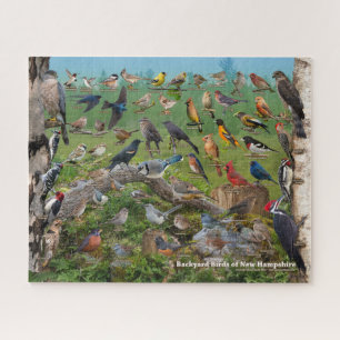 Puzzle Aves de patio trasero de New Hampshire