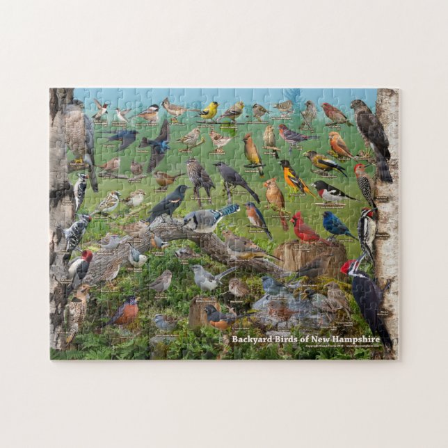 Puzzle Aves de patio trasero de New Hampshire (Horizontal)