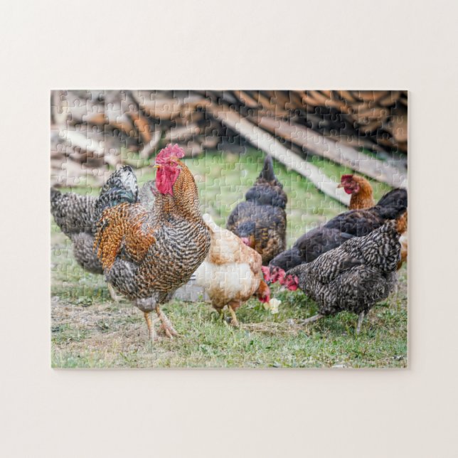 Puzzle Aves De Pollo Silvestres Rooster Y Granja Familiar (Horizontal)