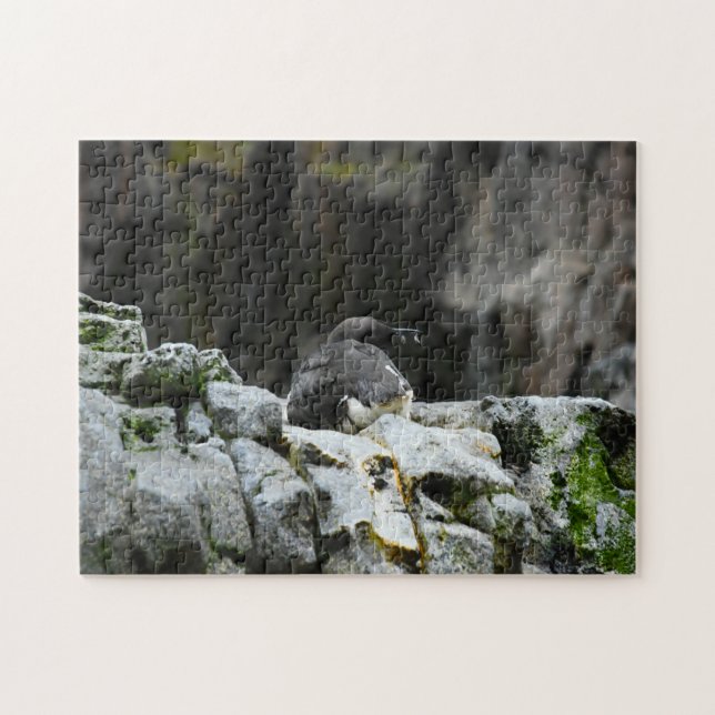 Puzzle Aves del mar. (Horizontal)