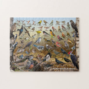 Puzzle Aves del patio trasero de Alberta